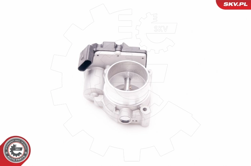 Throttle Body 12SKV058