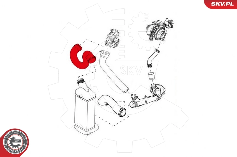 Charge Air Hose 43SKV033