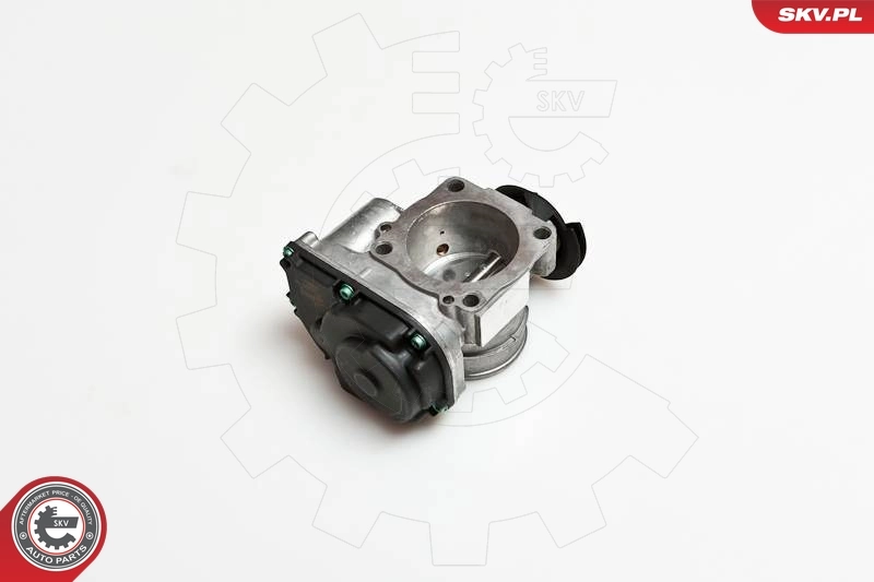 Throttle Body 12SKV034