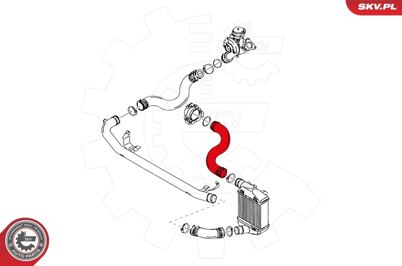 Charge Air Hose 24SKV083