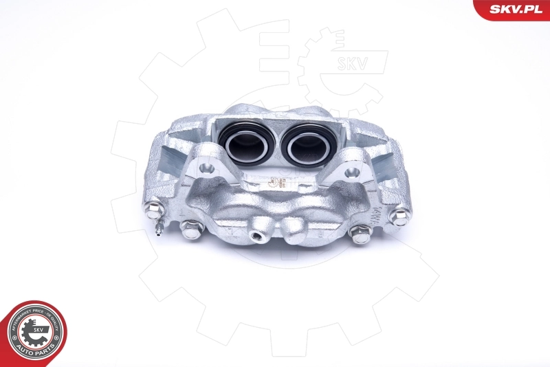 Brake Caliper 45SKV201