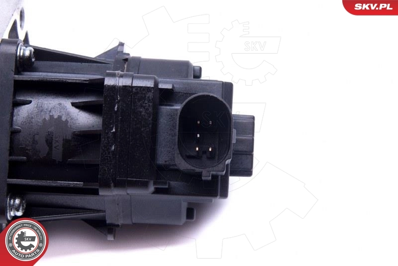 EGR Valve 14SKV217
