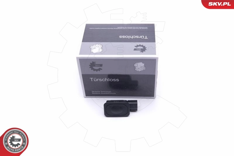 Exterior Door Handle 16SKV263