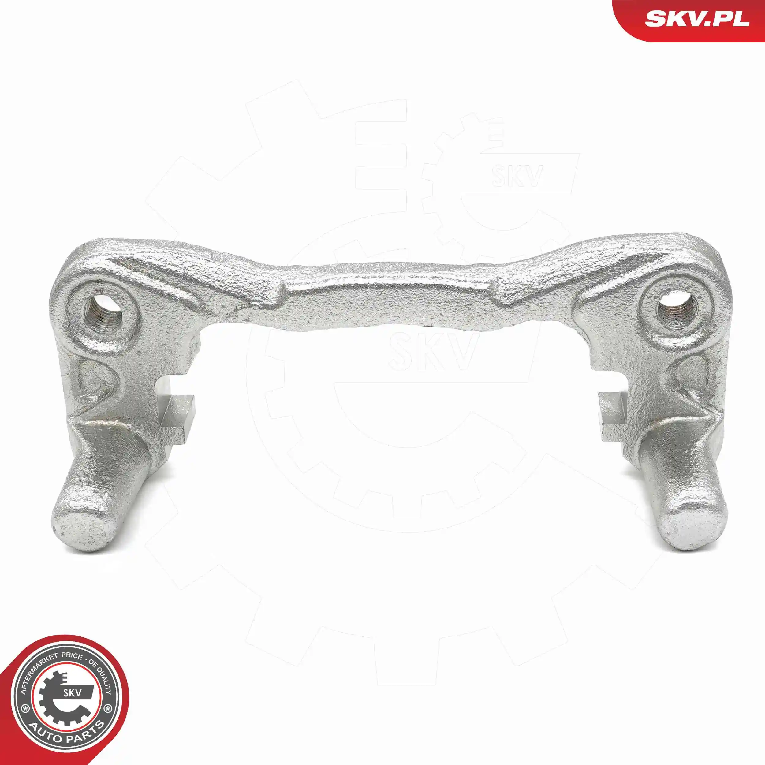 ESEN SKV 67SKV800 Bracket, brake caliper