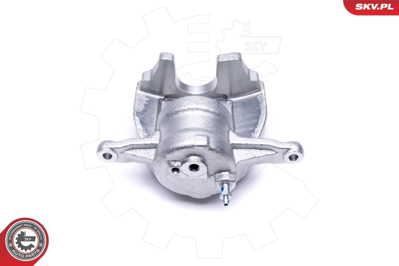 Brake Caliper 50SKV531