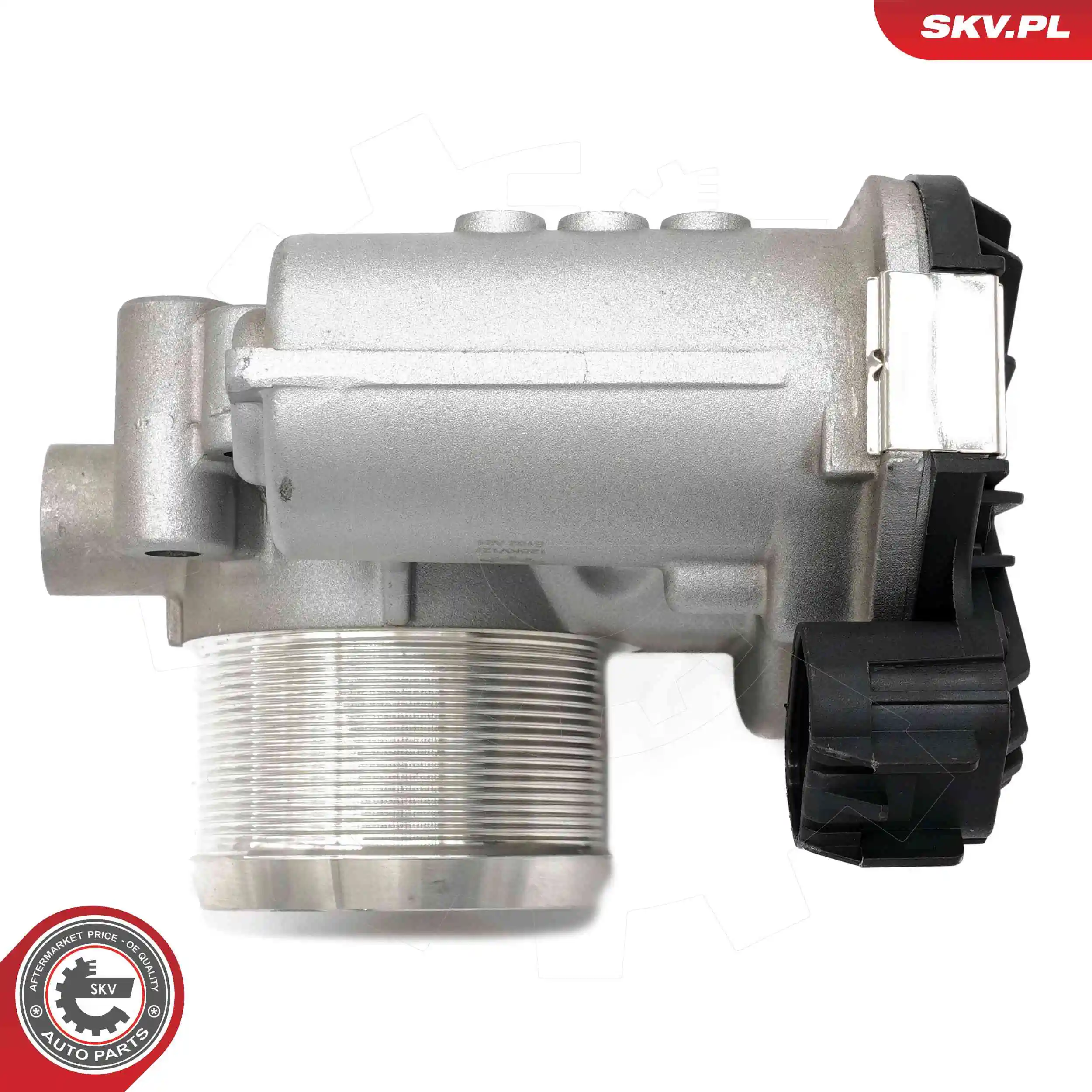 Throttle Body 12SKV127