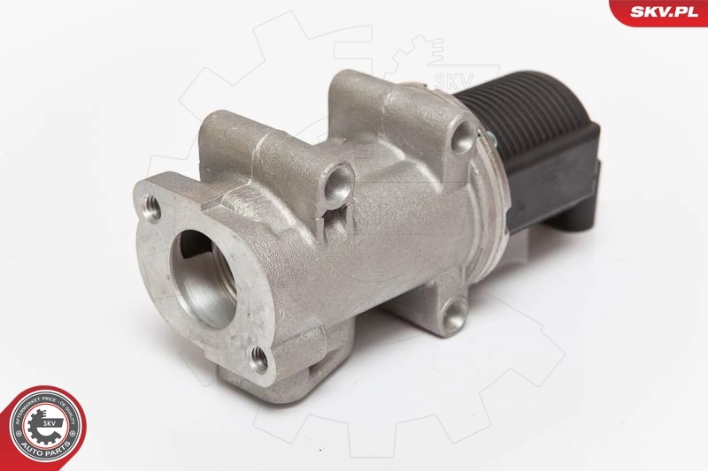 EGR Valve 14SKV055