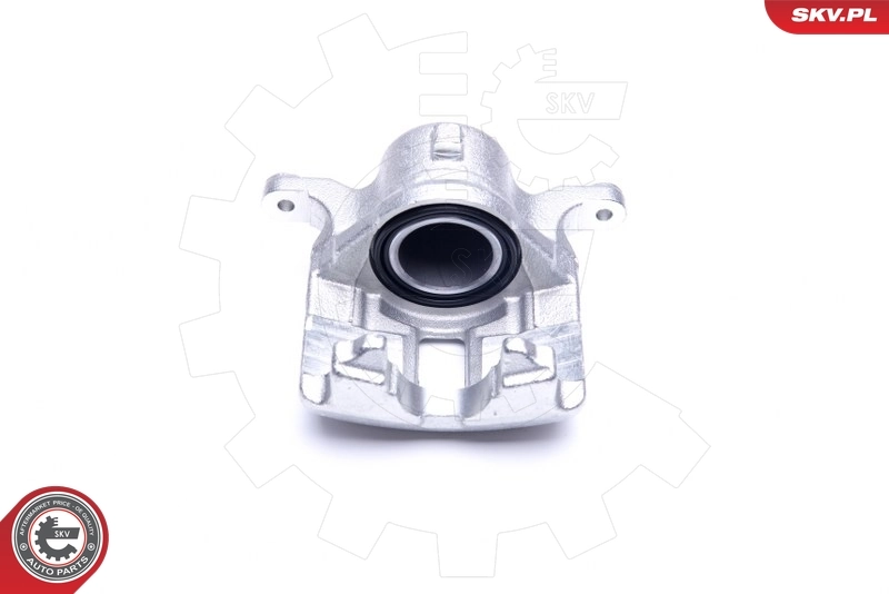 Brake Caliper 44SKV971
