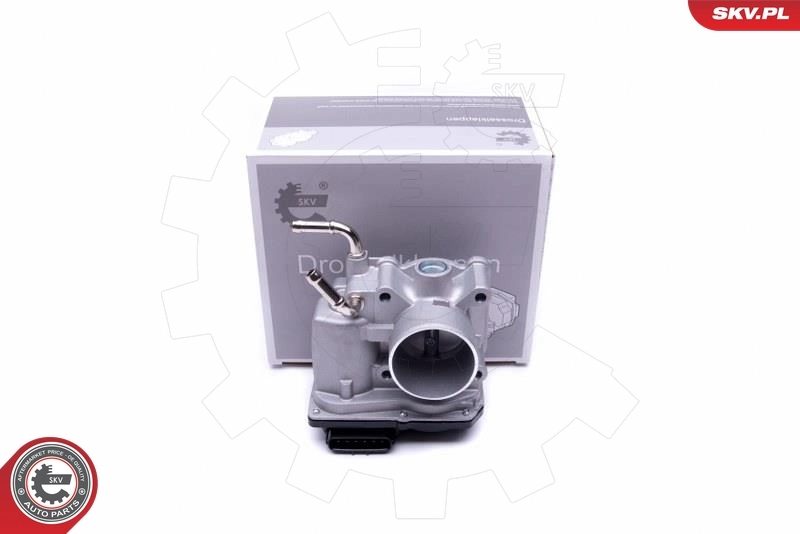 Throttle Body 12SKV097