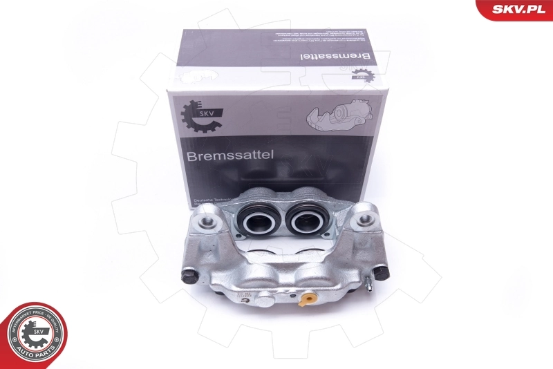 Brake Caliper 42SKV172