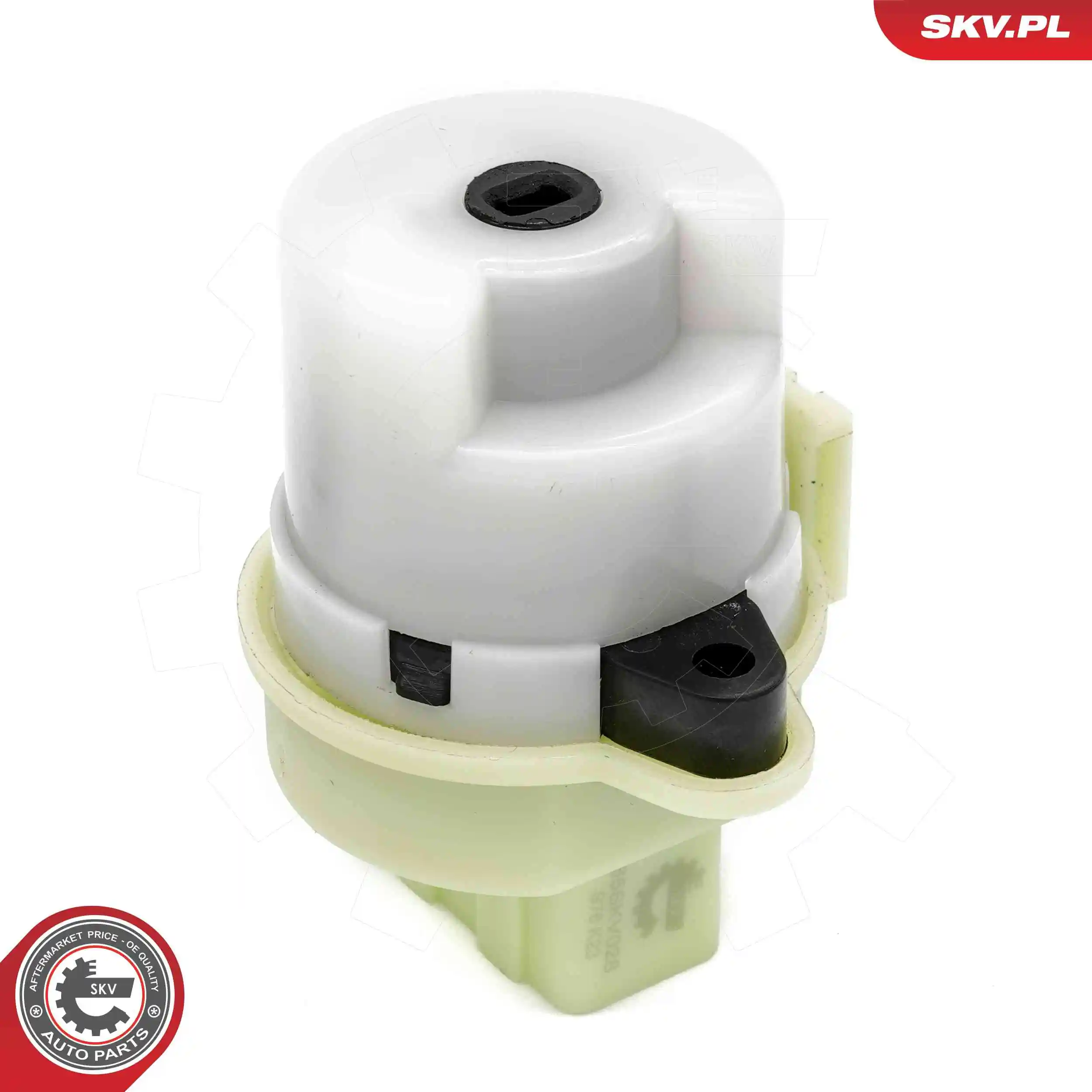 Ignition Switch 65SKV028