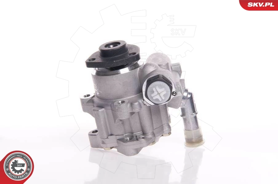 Hydraulic Pump, steering 10SKV145