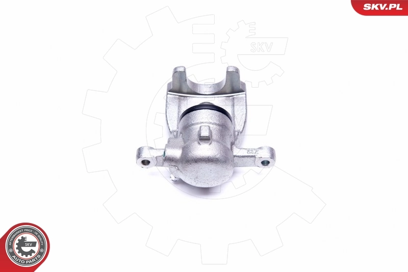 ESEN SKV 45SKV563 Brake Caliper