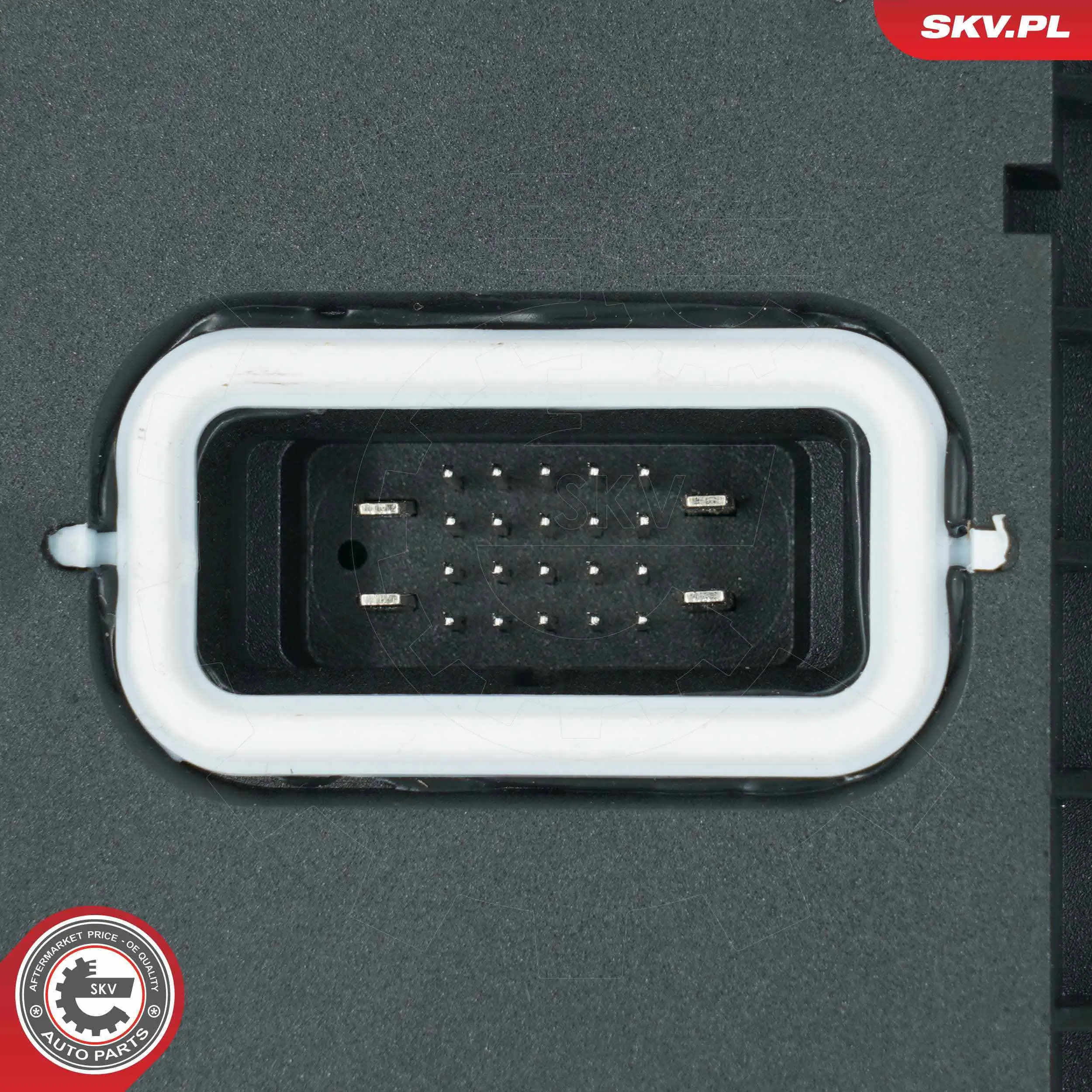 ESEN SKV 59SKV202 Control Unit, lights