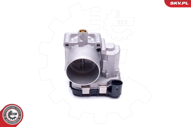 Throttle Body 12SKV078