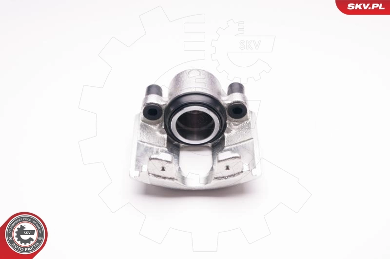 Brake Caliper 23SKV396
