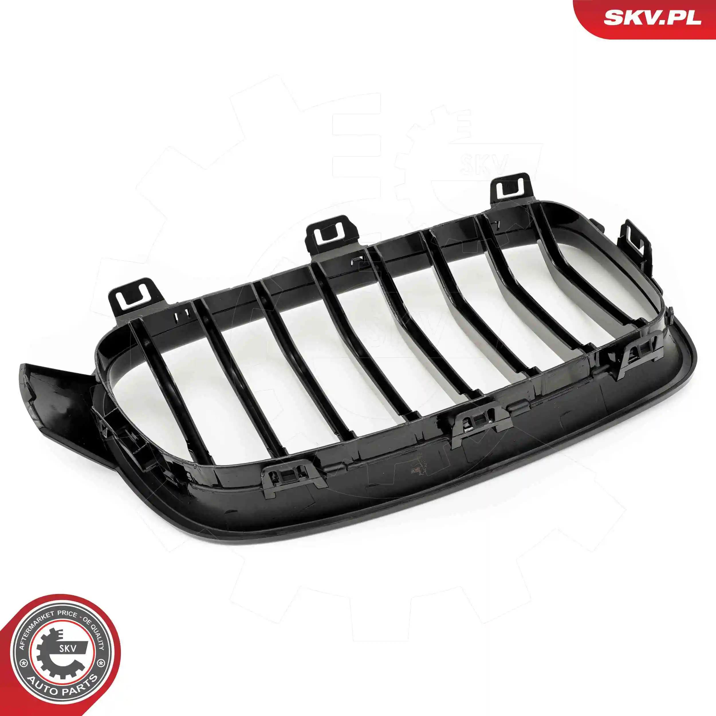 Radiator Grille 66SKV120