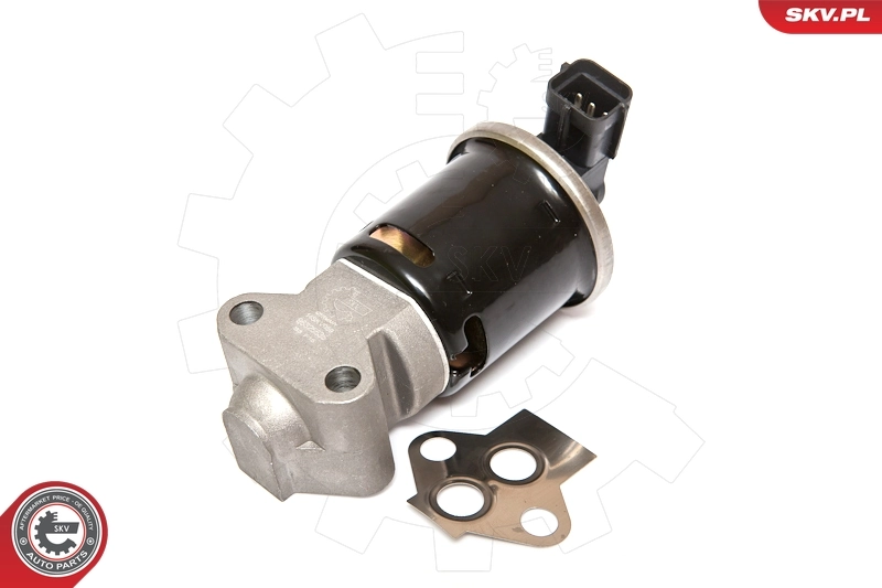 EGR Valve 14SKV059