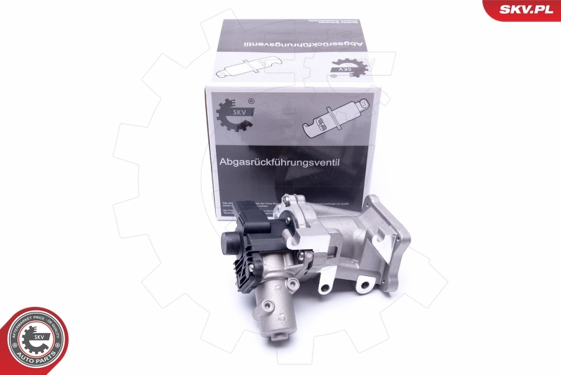 EGR Valve 14SKV171