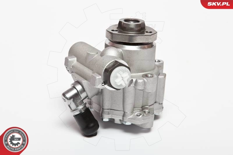 Hydraulic Pump, steering 10SKV018