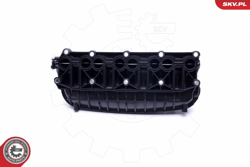 Intake Manifold Module 49SKV036