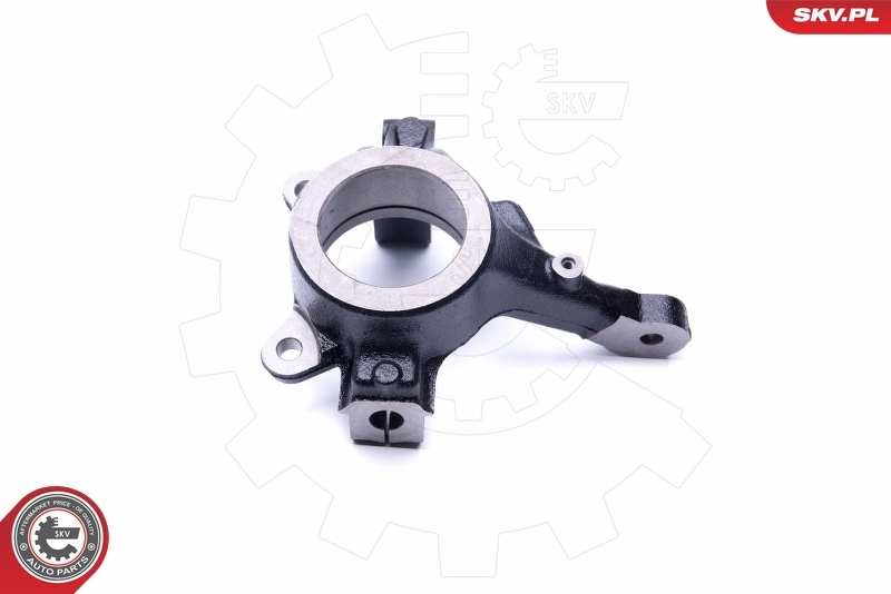 Steering Knuckle, wheel suspension 47SKV231