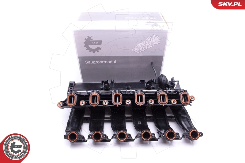 Intake Manifold Module 49SKV016