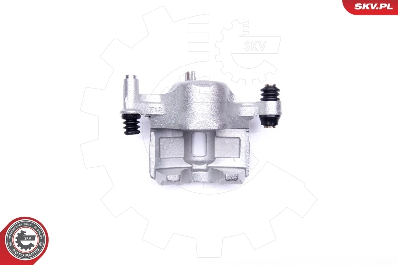 Brake Caliper 45SKV541