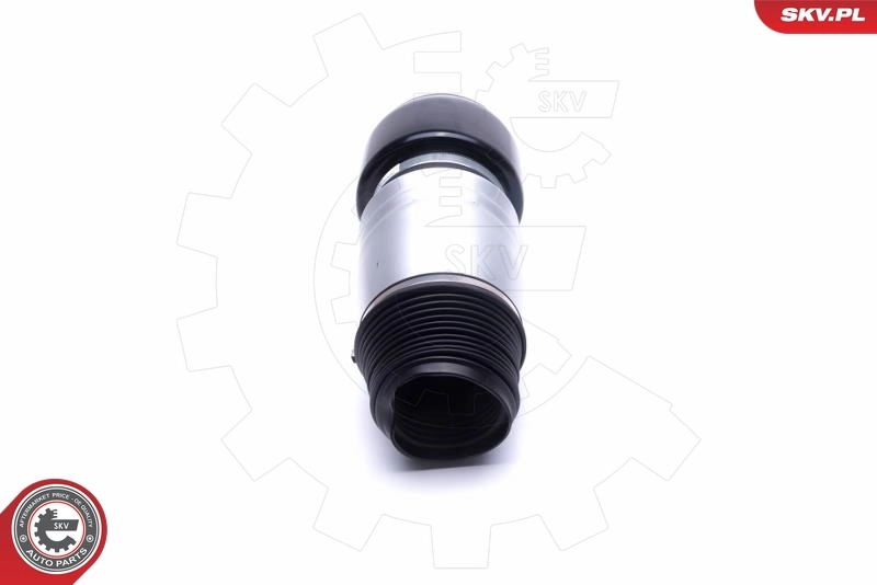 Air Suspension Strut 58SKV064