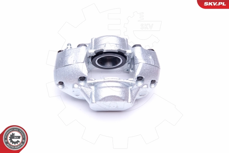 Brake Caliper 45SKV921