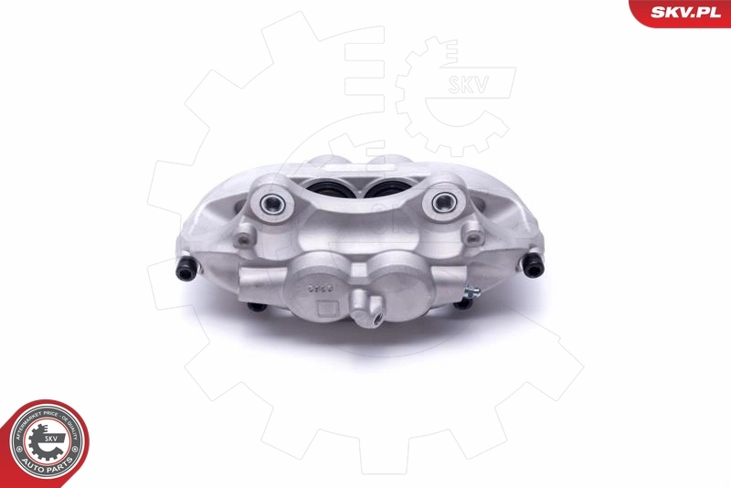 Brake Caliper 55SKV902