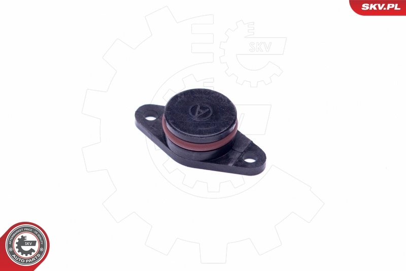 ESEN SKV 49SKV557 Repair Kit, intake manifold module