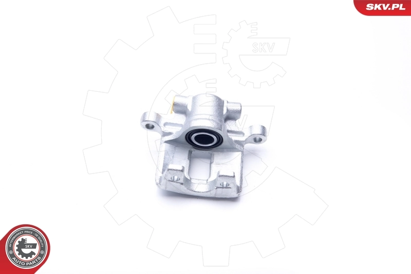Brake Caliper 42SKV424