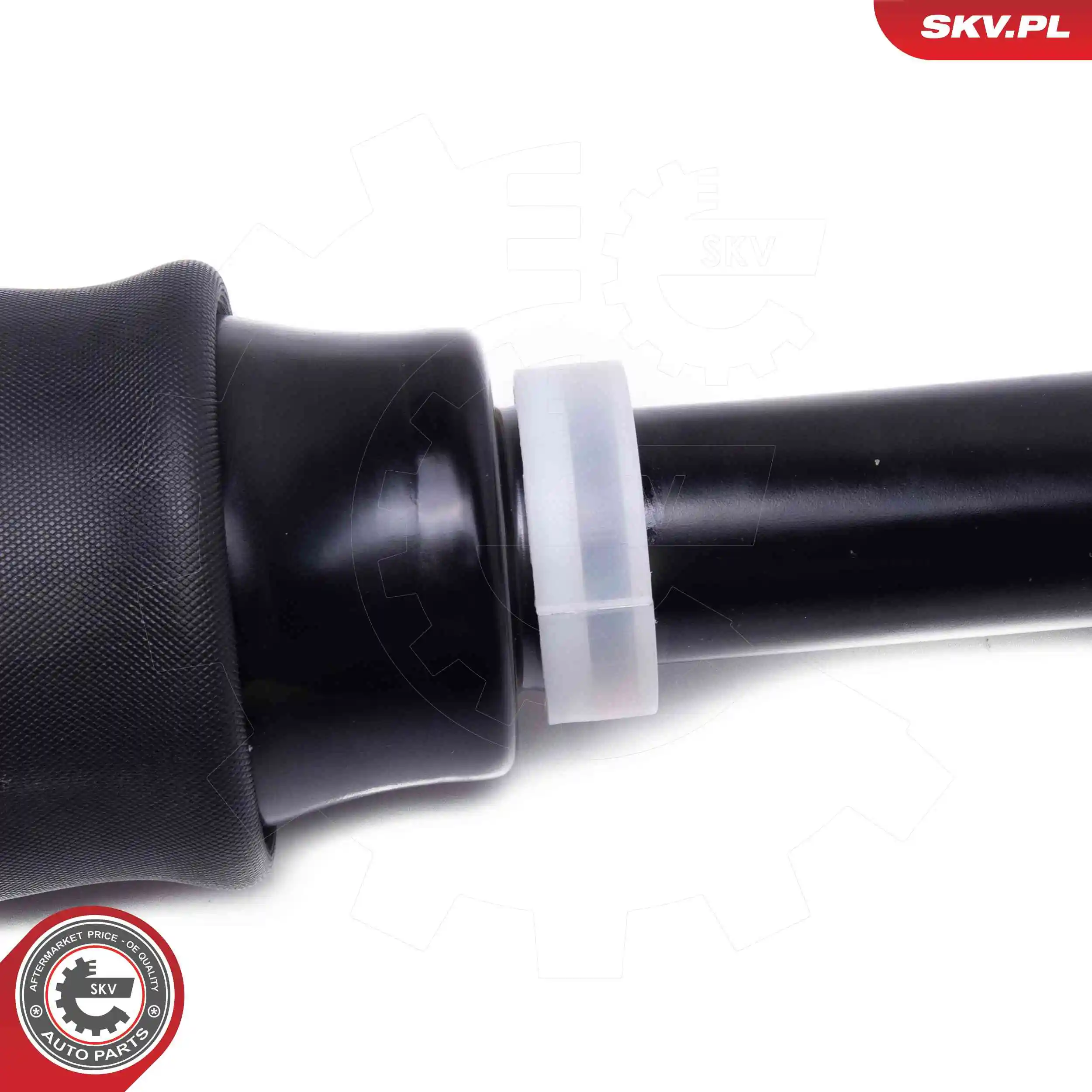 Air Suspension Strut 58SKV714