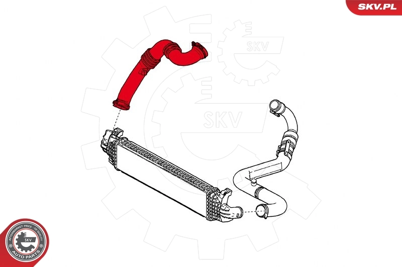 Charge Air Hose 24SKV781