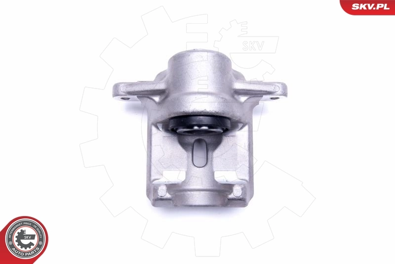 Brake Caliper 55SKV454