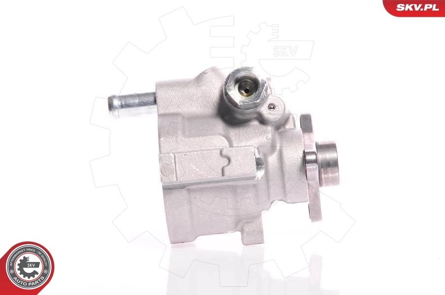 Hydraulic Pump, steering 10SKV021
