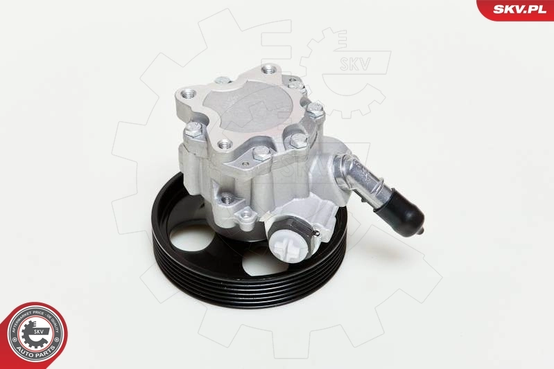 Hydraulic Pump, steering 10SKV060