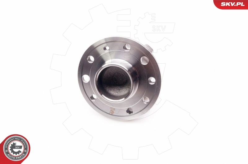 Wheel Bearing Kit 29SKV023