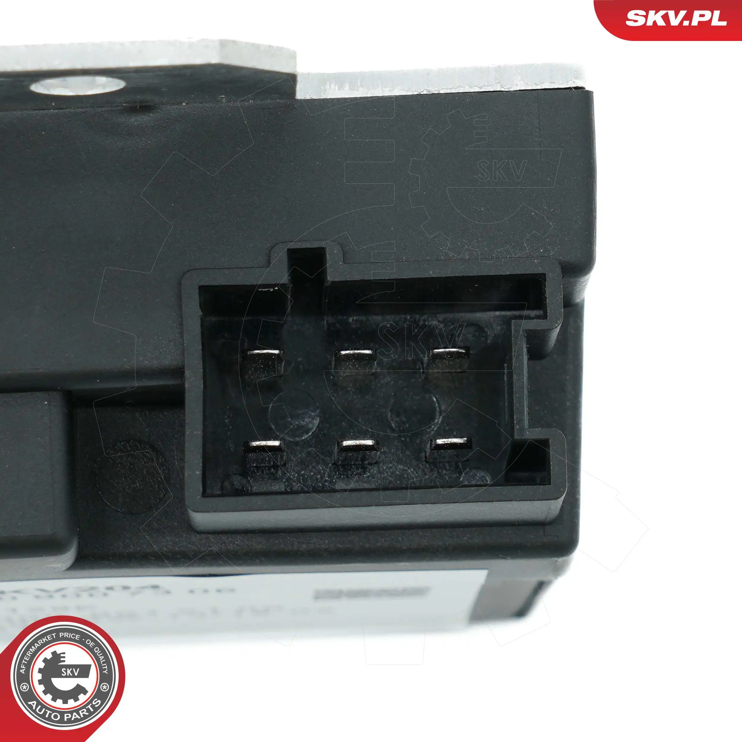ESEN SKV 59SKV204 Control Unit, fuel pump