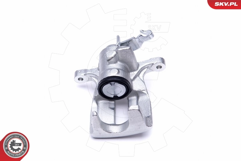Brake Caliper 46SKV944