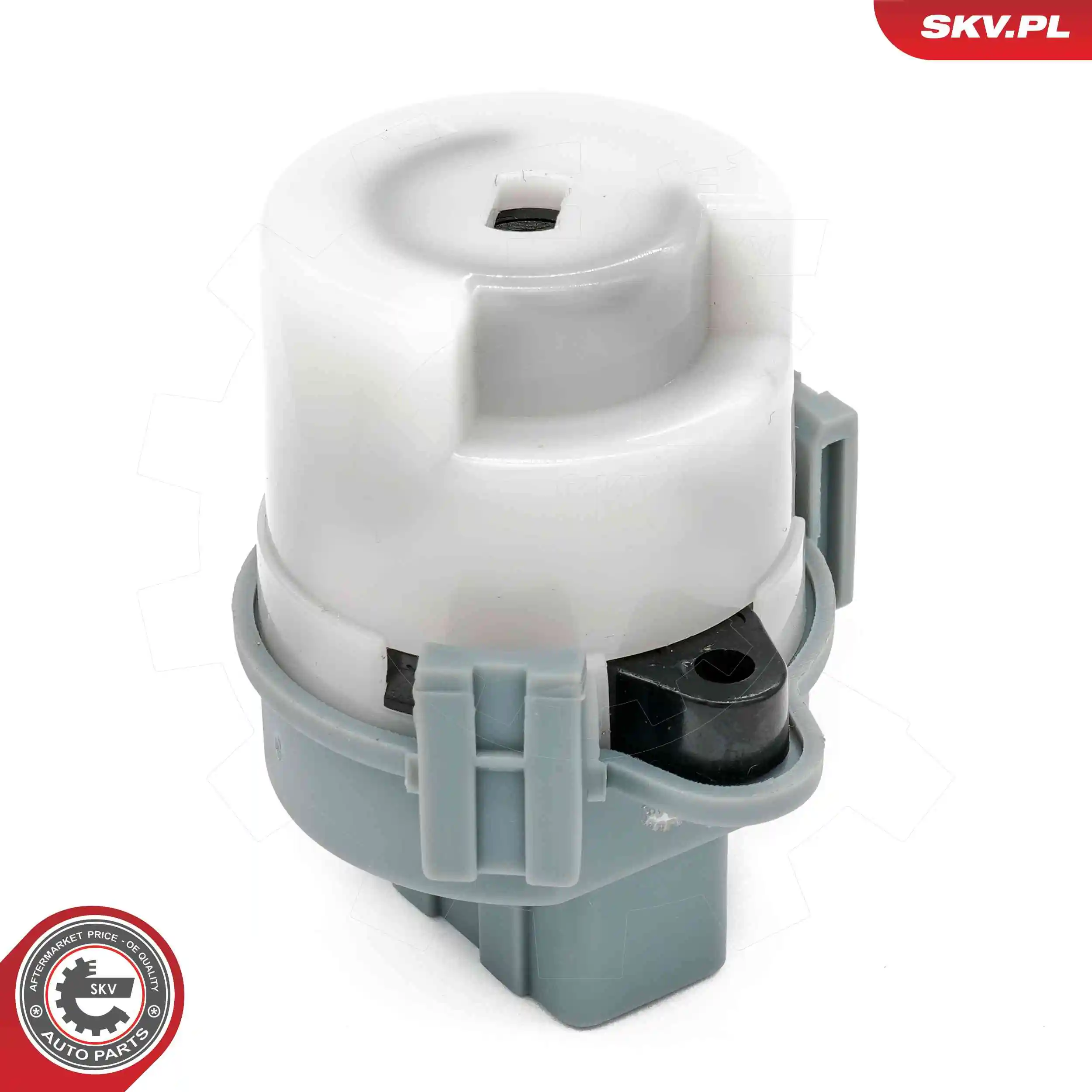 Ignition Switch 65SKV034