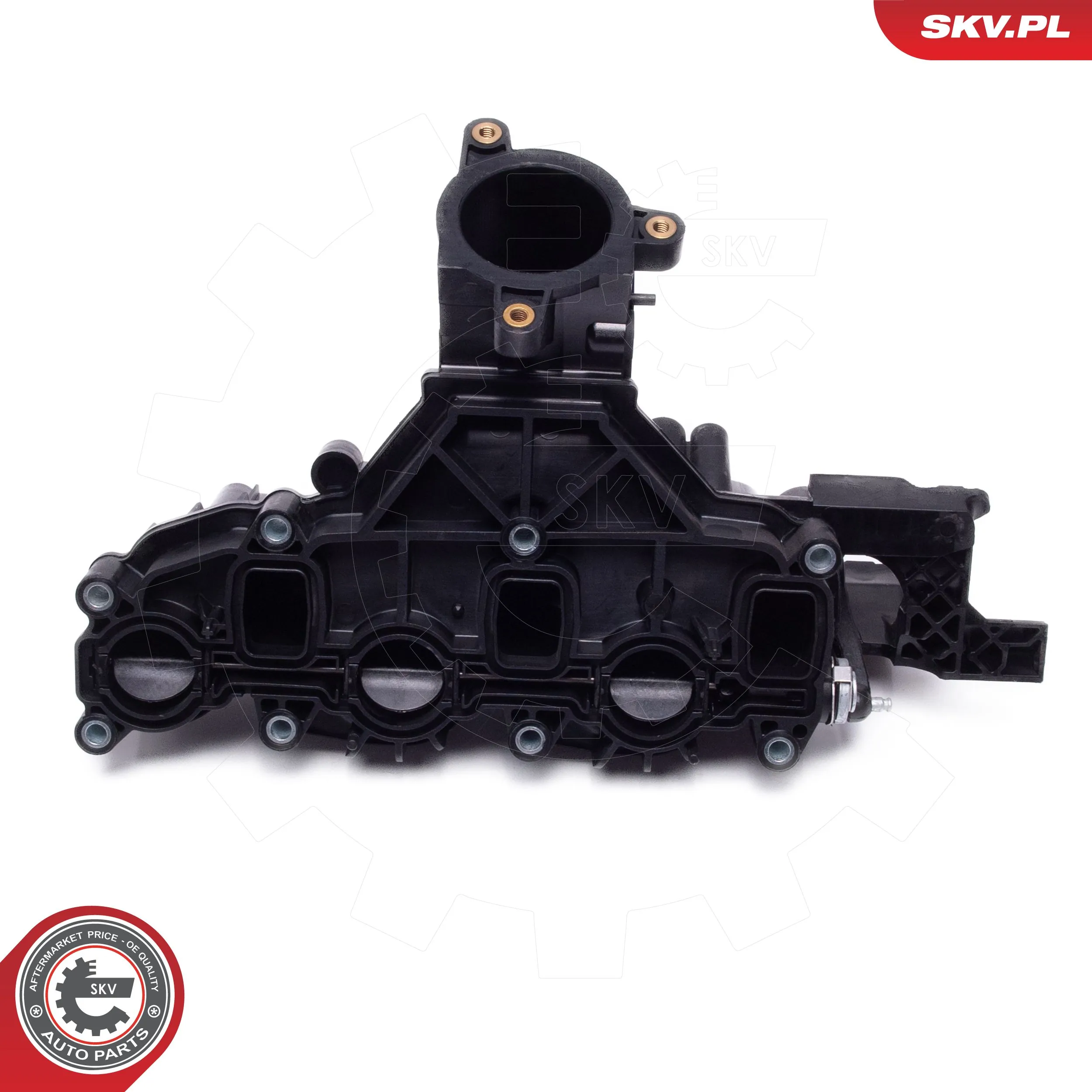 ESEN SKV 49SKV080 Intake Manifold Module
