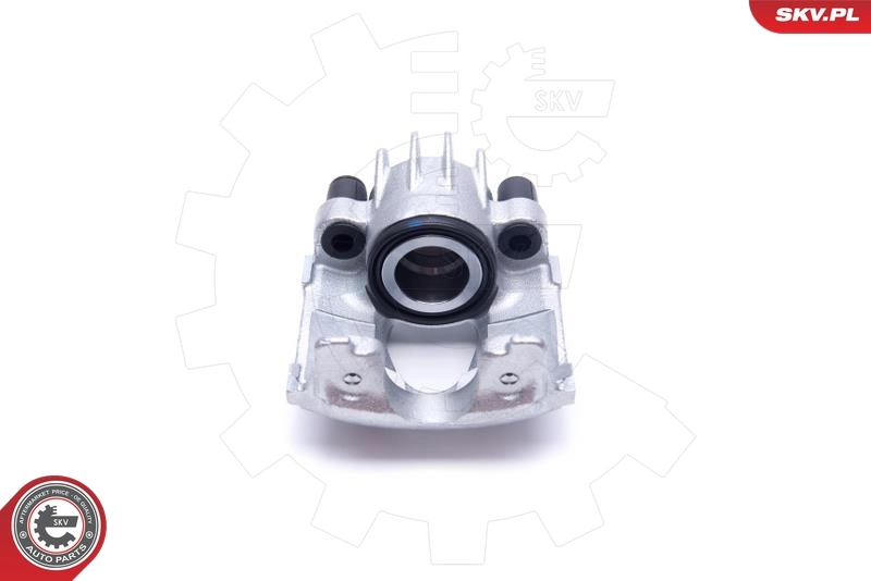 Brake Caliper 55SKV762