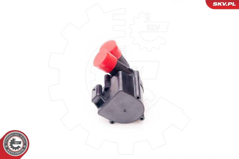 Water Recirculation Pump, parking heater 22SKV018