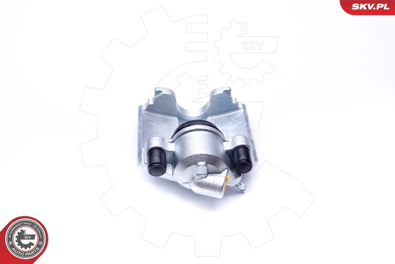 Brake Caliper 42SKV191