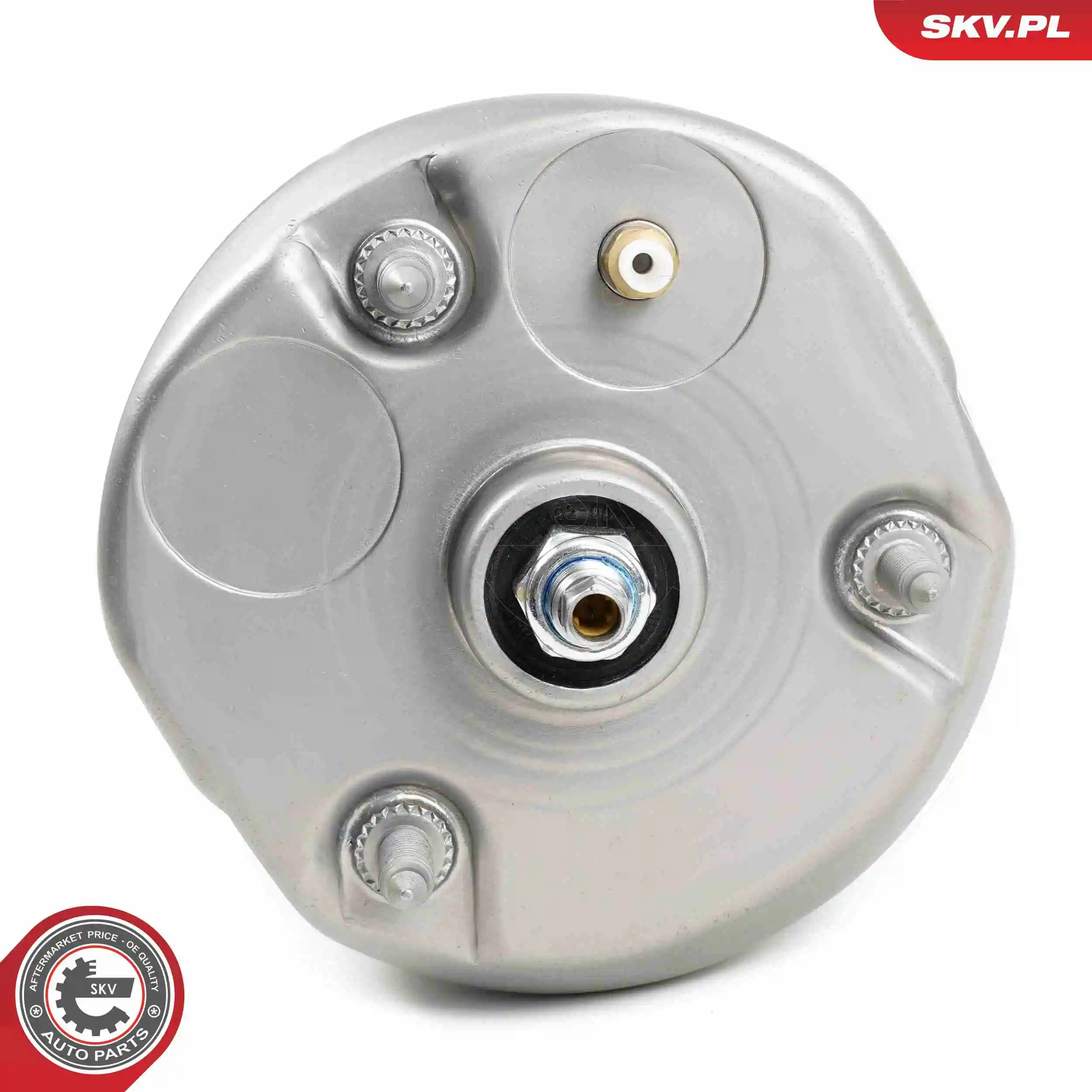 Air Suspension Strut 58SKV707