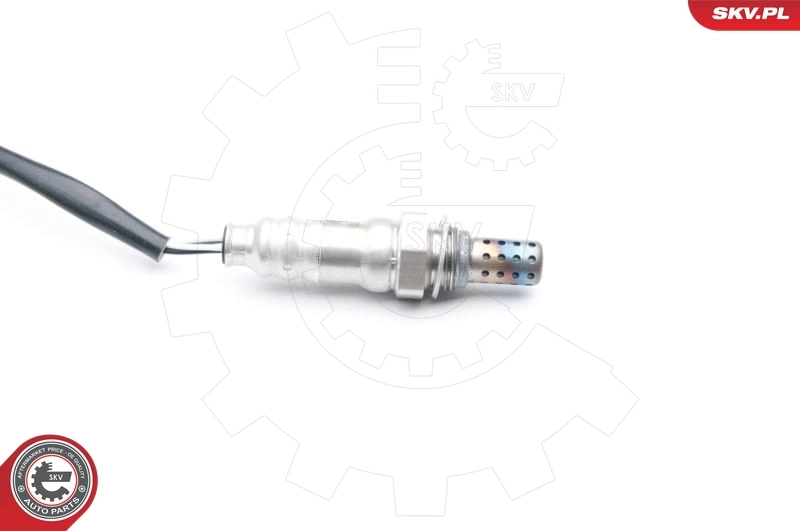 Oxygen Sensor 09SKV698