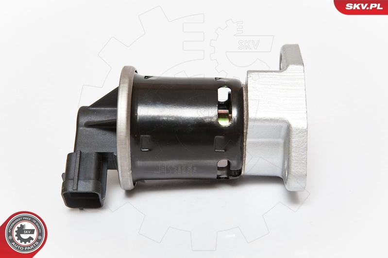 EGR Valve 14SKV070