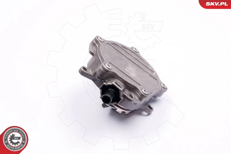 Vacuum Pump, braking system 18SKV017